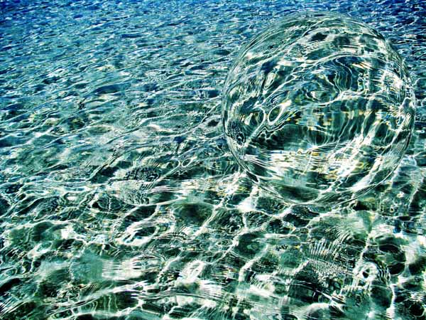 The solitary flippon - artwork by Krunomir