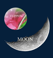 flippon-moon